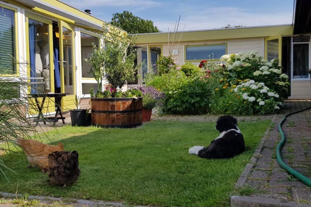 Out Of Amsterdam, River Apartment Close To City Broek in Waterland Ngoại thất bức ảnh