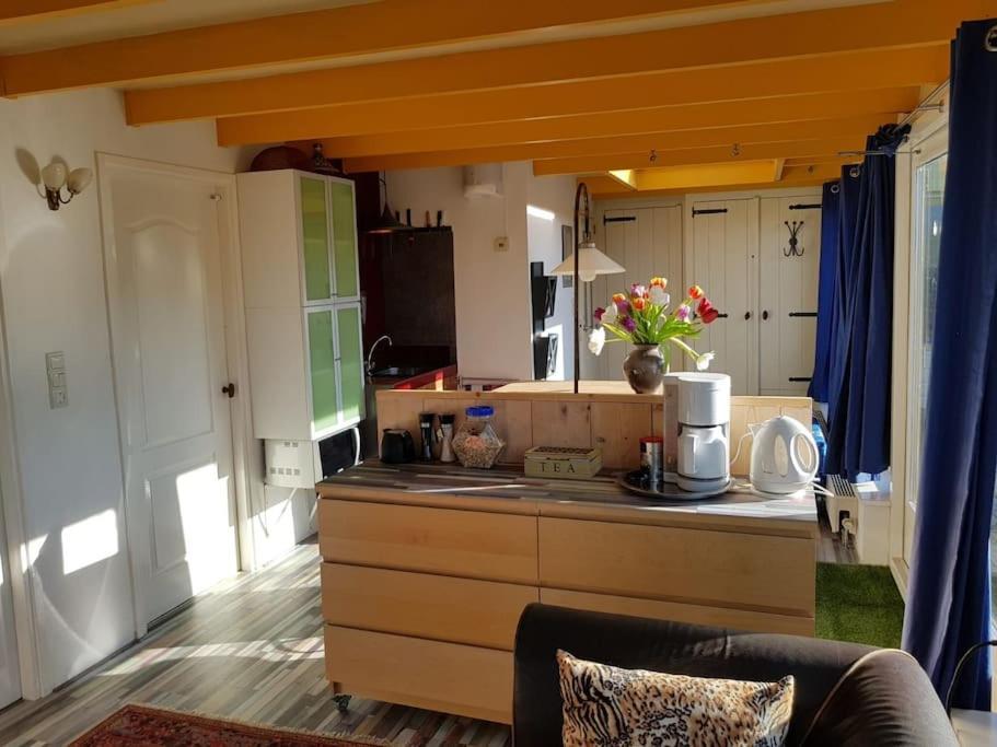 Out Of Amsterdam, River Apartment Close To City Broek in Waterland Ngoại thất bức ảnh